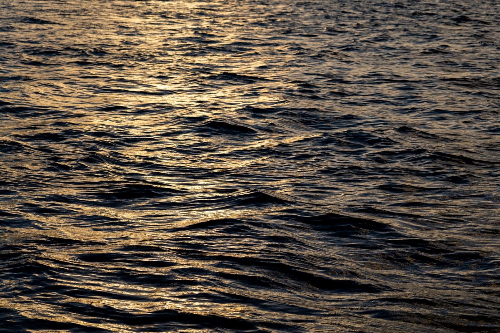Low sun on the water of Howe Sound